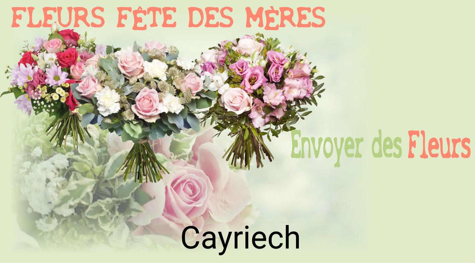 Bouquet de Fête des Mères livré à Cayriech